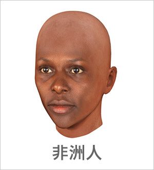 3D 臉部輪廓 - 非洲人